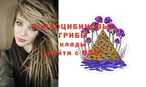 МДПВ Нефтегорск