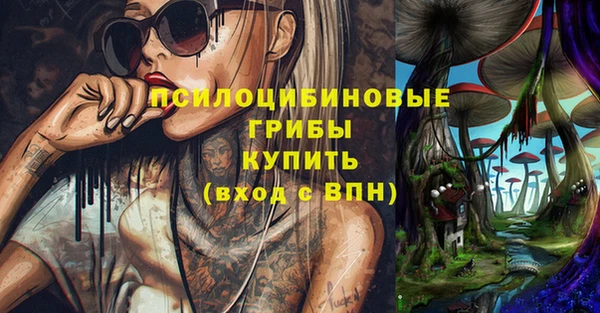 дживик Нея