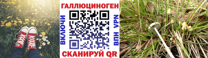 Галлюциногенные грибы мицелий  Кирсанов 